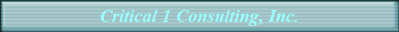 Critical 1 Consulting, Inc.